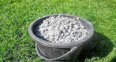 Jak a kdy používat popel v letní chatě, pod které rostliny aplikovat